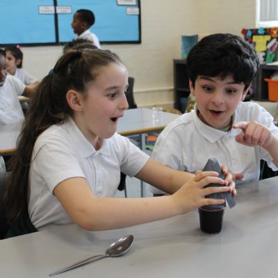 Science week and science fair